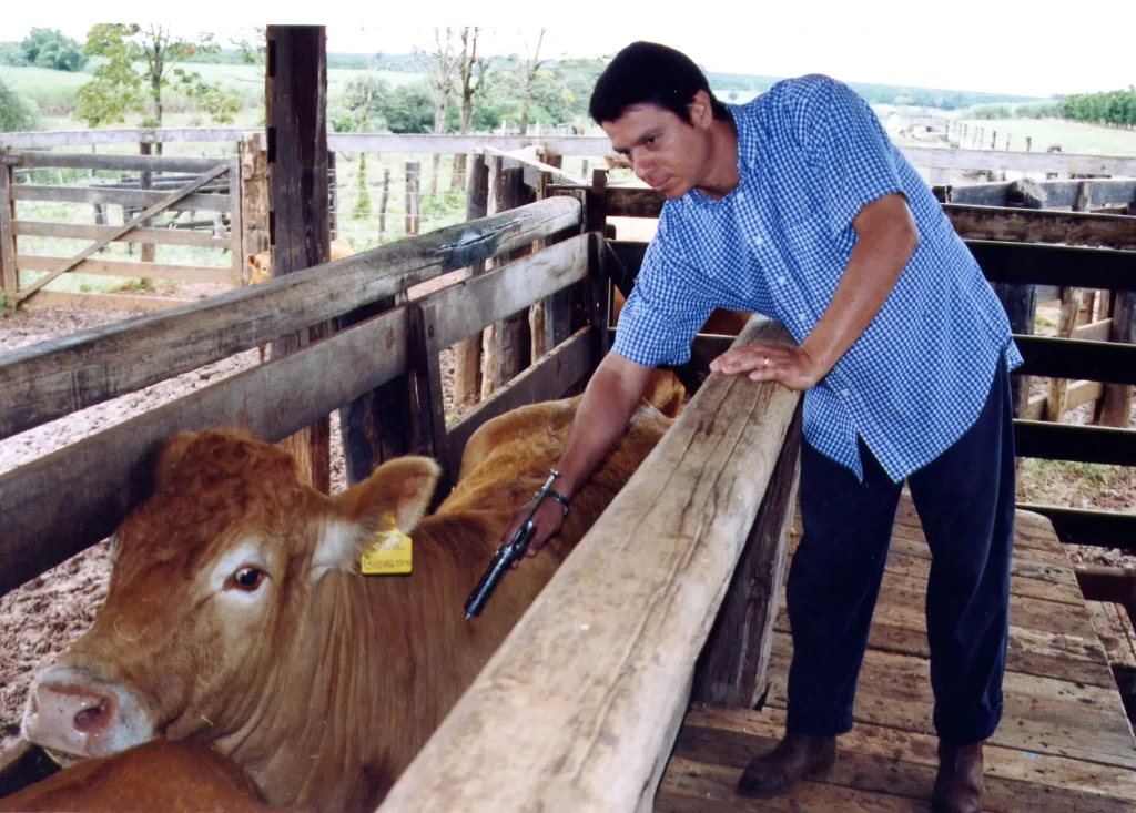 dat_veterinaria