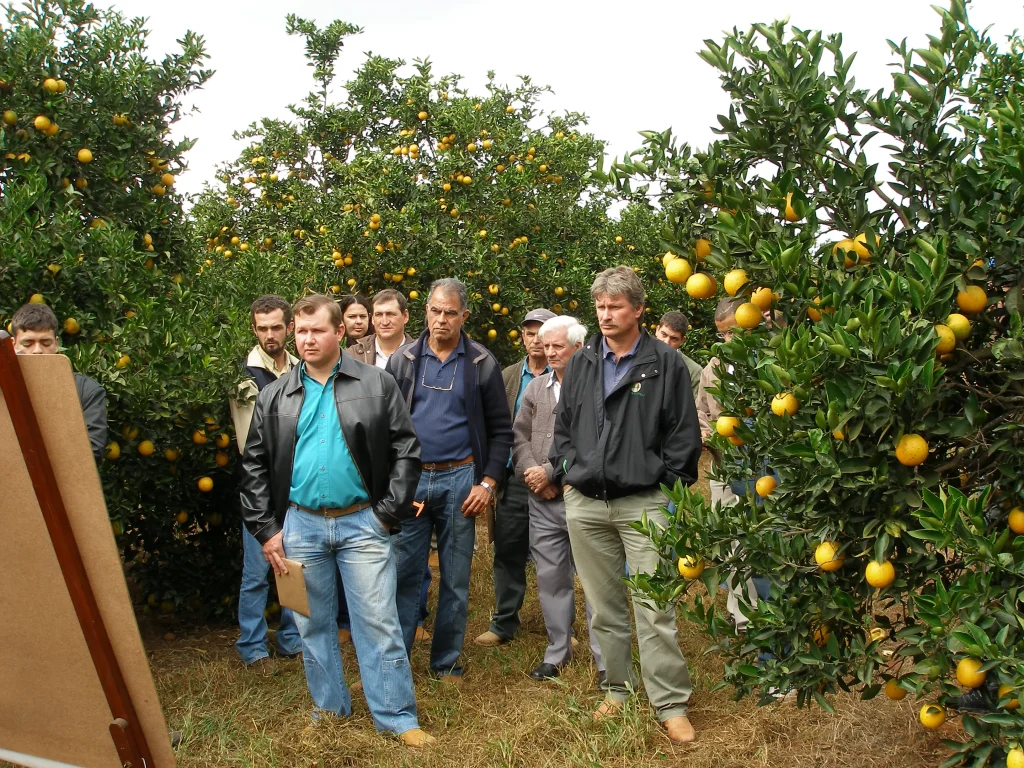 dia de campo limeira (1)